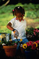 Little Gardener